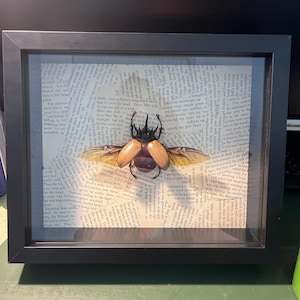 Mckenzie ha añadido una foto de su compra
