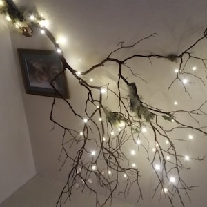 Dawn heeft een foto van de aankoop toegevoegd