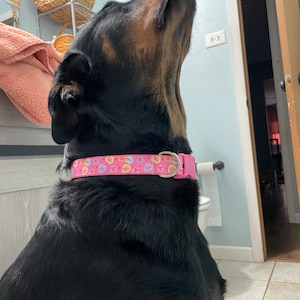 Alexandria ha añadido una foto de su compra