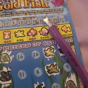 SWINDLER  lottery Scratch Card Scratcher Tool - Toys, Games