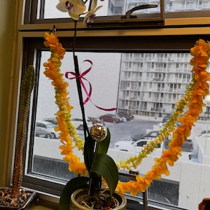 Kristine added a photo of their purchase