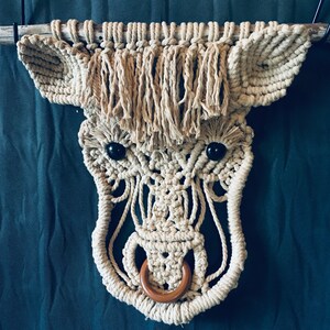 Jody added a photo of their purchase