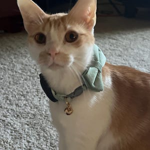 Lex added a photo of their purchase