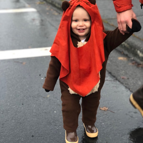 Consider the Lilies, Red Rose Turquoise Earrings, Native American ...