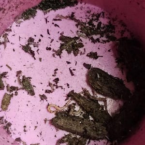 Melissa added a photo of their purchase