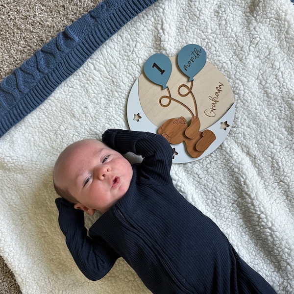 Wooden Interchangeable Teddy Bear Milestone Markers for Baby Photos ...