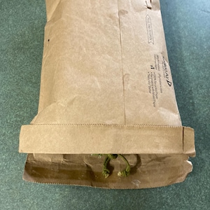 Organic Bay Leaf | Freshly Dried Bay Leaves