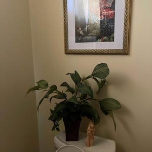 sam さんが購入した商品の写真を追加しました
