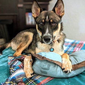 elijah ha añadido una foto de su compra