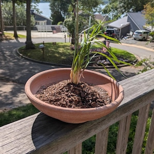 christopher added a photo of their purchase