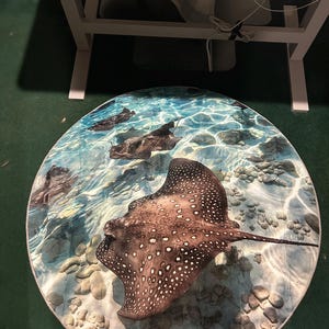 nelson added a photo of their purchase