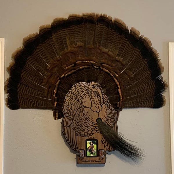 Custom Turkey Plaque Tail Mount, Personalized, Unique Fan, Beard, and ...