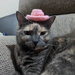 Dana ha añadido una foto de su compra