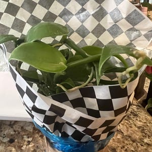 Bebop ha añadido una foto de su compra