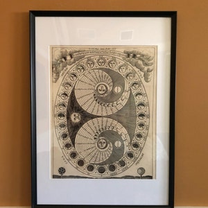 Sylvia added a photo of their purchase