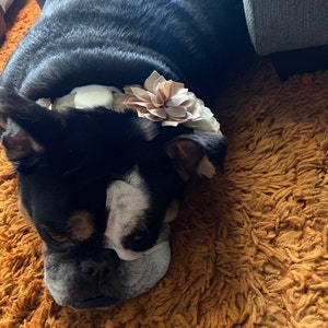 debra added a photo of their purchase