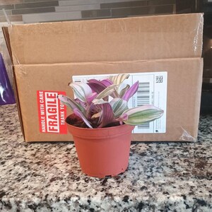 John added a photo of their purchase