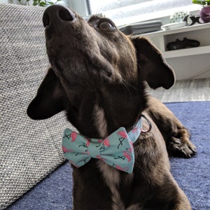 Katharina added a photo of their purchase