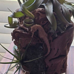 CINDY added a photo of their purchase