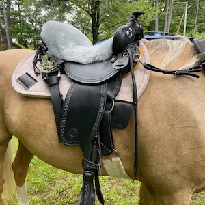 Susan added a photo of their purchase