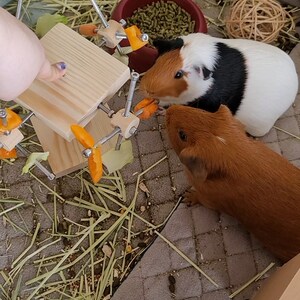 Janice added a photo of their purchase