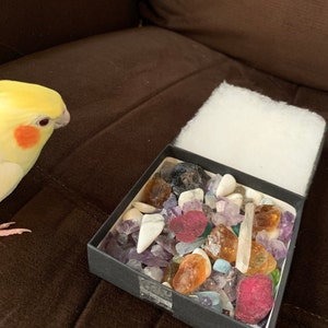 Customer photo from Nicole, Raw Crystal Mystery Box, Rough Gemstone Chakra Starter Set