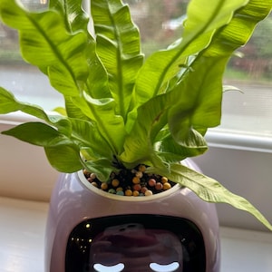 Sheryl added a photo of their purchase