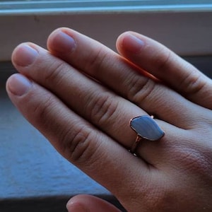 Josie added a photo of their purchase