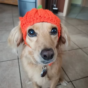 Santa Dog Hat Crochet PATTERN Etsy