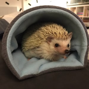 Jenny added a photo of their purchase
