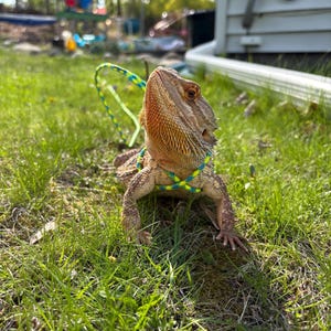 Pamela added a photo of their purchase