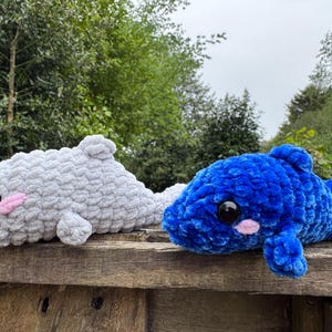 Rachel added a photo of their purchase