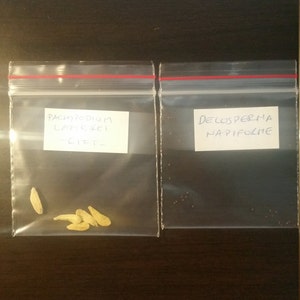 Inactive account added a photo of their purchase