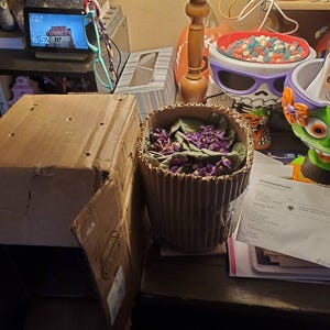 Regina さんが購入した商品の写真を追加しました