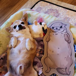 Nicolle added a photo of their purchase