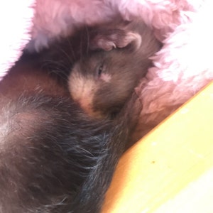 Fran added a photo of their purchase