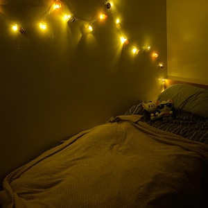 Daniel ha añadido una foto de su compra