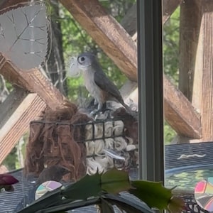 Betty added a photo of their purchase