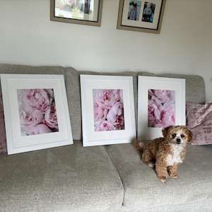 Lorri added a photo of their purchase
