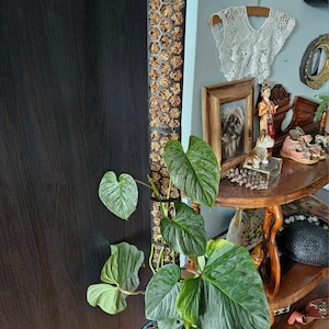 Blanche hat ein Foto des gekauften Artikels hinzugefügt