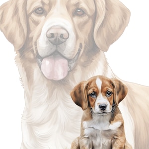 Dog Clipart Bundle 190 Watercolor Dogs Clipart PNG, Dog Breeds PNG, Dog ...