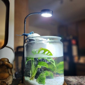 Janell added a photo of their purchase