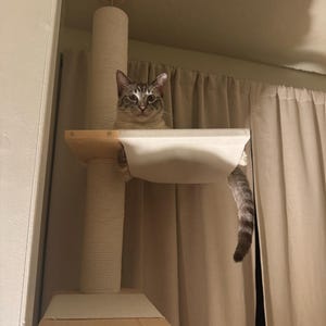 Minga added a photo of their purchase