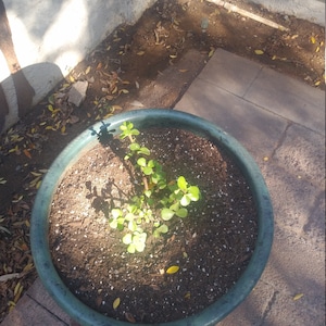 Tim added a photo of their purchase