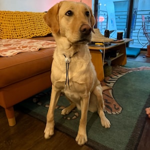 Beans added a photo of their purchase