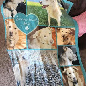 Sarah added a photo of their purchase