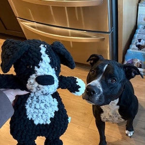 Kylene ha aggiunto una foto del proprio acquisto