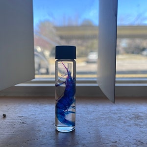 Charlie added a photo of their purchase