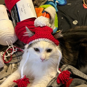 Crochet Pattern PDF Download // Cat or Small Dog Christmas Beanie Hats ...