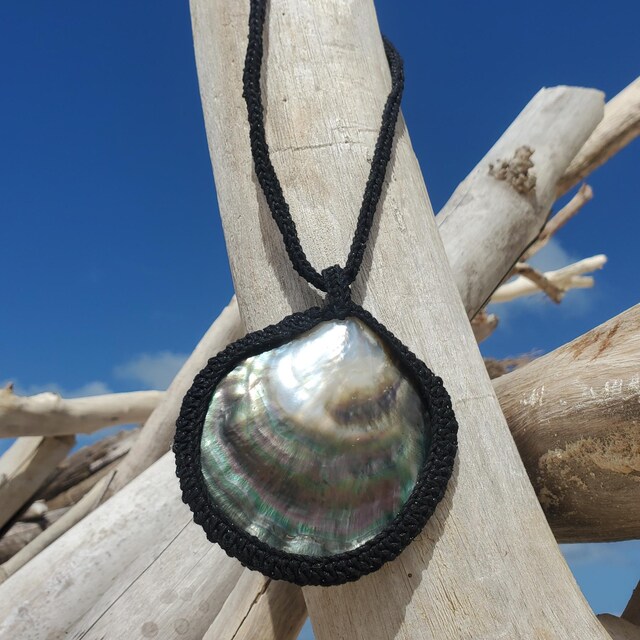AAA Big Than 9cm Tahitian Blacklip Mother of Pearl Shell